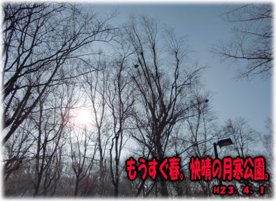 ファイル 12-1.jpg