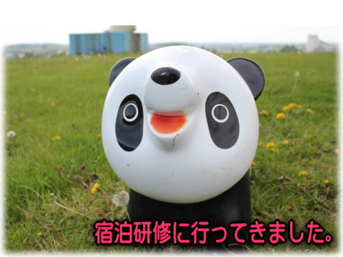 ファイル 26-1.jpg