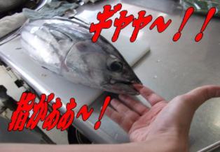 ファイル 28-2.jpg